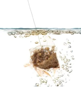 Chamomile Stock Photos