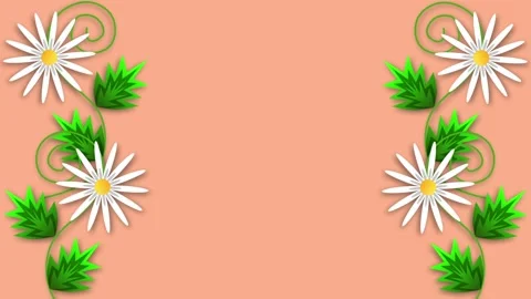 Chamomile on a pink background Stock Footage 237151594