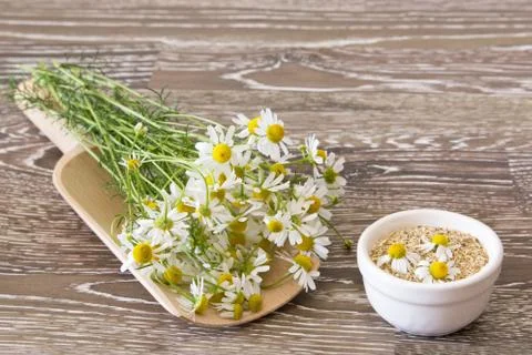 Chamomile on a scoop Foto stock