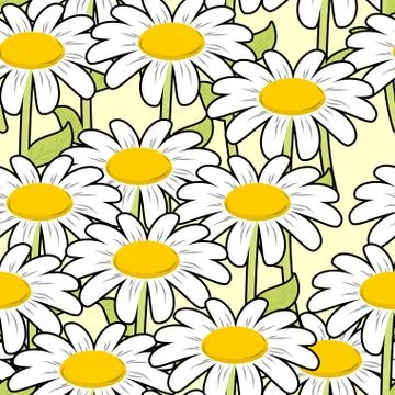 Chamomile seamless pattern. Beautiful flowers ornament. Summer meadow ornamen 스톡 일러스트
