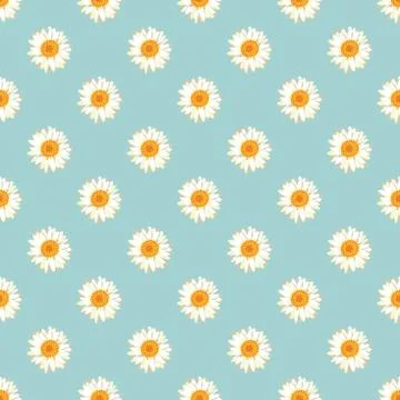 Chamomile seamless pattern. Daisies on blue background. Stock Illustration