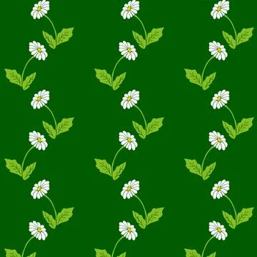 Chamomile Seamless Pattern on Deep Green Background Stock Illustration
