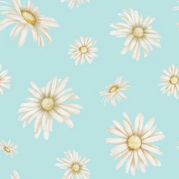 Chamomile seamless Pattern. Hand drawn watercolor ornament with Daisy Flowers on Stock Illustration
