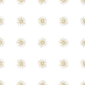 Chamomile seamless Pattern. Hand drawn watercolor ornament with Daisy Flowers on Stock Illustration