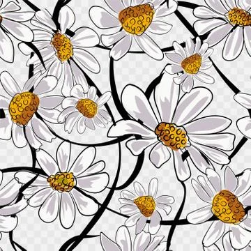 Chamomile seamless pattern. Illustration on white background. Stock Illustration