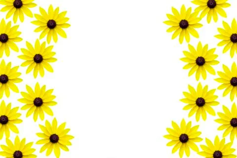 Chamomile seamless pattern, yellow chamomile on a white background. a refreshing 스톡 사진