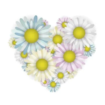 Chamomile in the shape of a heart. Stock Illustration