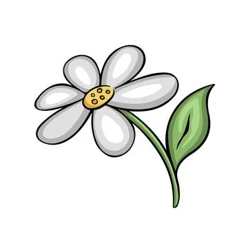 Chamomile spring flower, vector illustration Stock Illustration