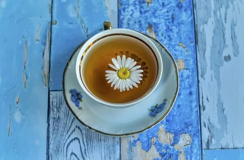 Chamomile tea on a blue background Stock Photos