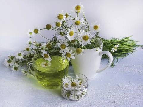 Chamomile tea on a blue background. Stock Photos