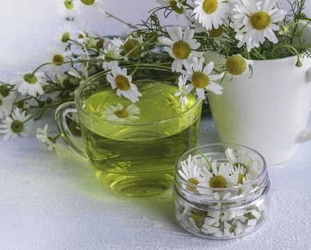 Chamomile tea on a blue background. Stock Photos