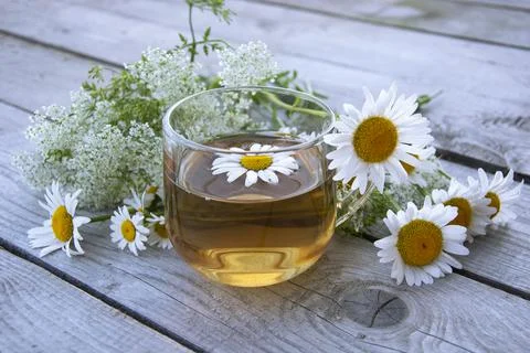 Chamomile tea in a glass cup. Floral background. A transparent cup with a cha Stock Photos