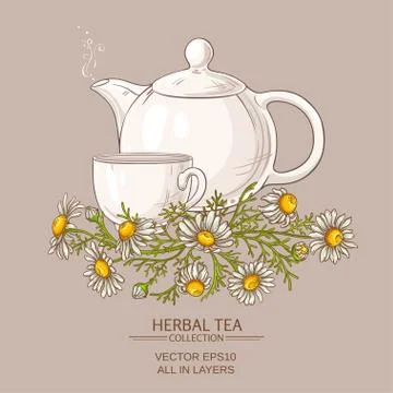 Chamomile tea illustration Illustrazione stock
