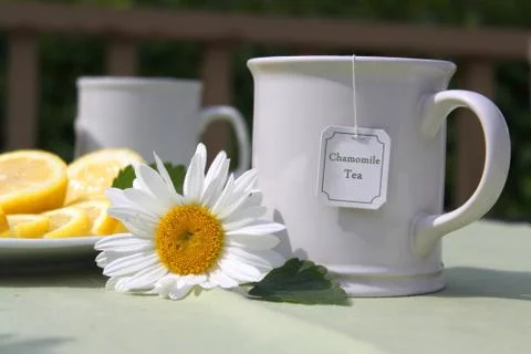 Chamomile tea Stock Photos