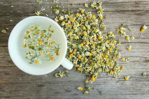 Chamomile tea Stock Photos