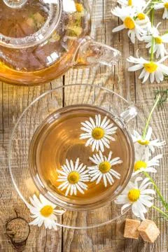 Chamomile tea Stock Photos