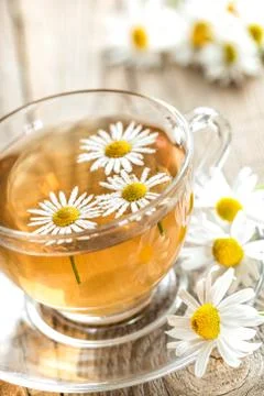 Chamomile tea Stock Photos
