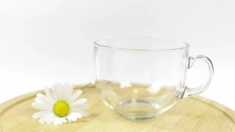 Chamomile Tea on White Stock Footage 91268890