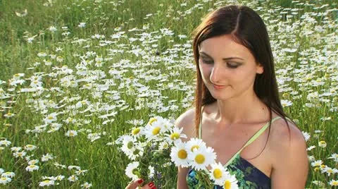 Chamomile wreath Stock Footage 21945876