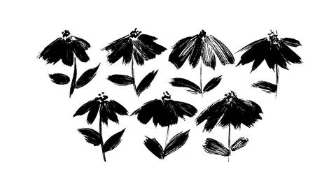 Chamomiles brush painted vector black ink flowers. Stock Illustration
