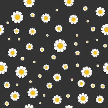 Chamomiles on dark grey background Stock Illustration