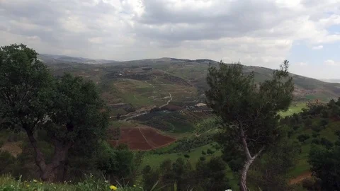 Chamomiles at the Foot of the Mountain. Stock Footage 76631804