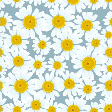 Chamomiles seamless background Stock Illustration