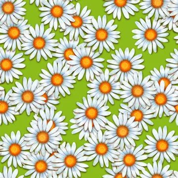 Chamomiles. Seamless pattern with daisy flowers Stock Illustration
