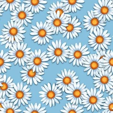 Chamomiles. Seamless pattern with daisy flowers Stock Illustration