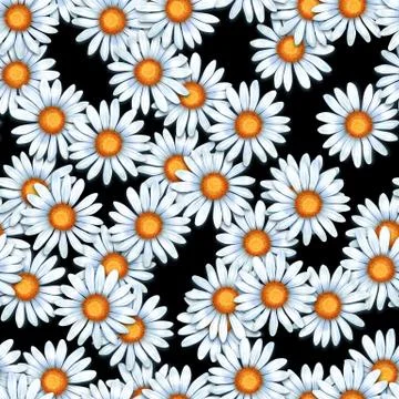 Chamomiles. Seamless pattern with daisy flowers Stock Illustration