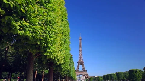 Champ de Mars Park and the Morning Eiffel Tower Stock Footage 332456992