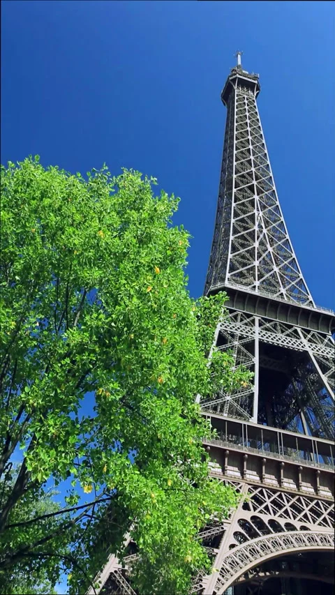 Champ de Mars Park and the Morning Eiffel Tower Stock Footage 332457100