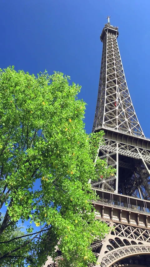 Champ de Mars Park and the Morning Eiffel Tower Stock Footage 332457104
