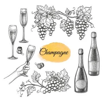 Champagne big set. Stock Illustration