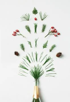 Champagne bottle with firework splash winter foliage on white background. F.. Stock Photos