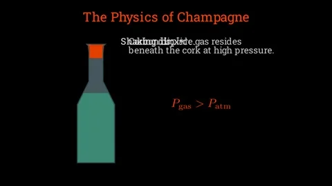 The champagne bottle physics Stock-Footage 336118885