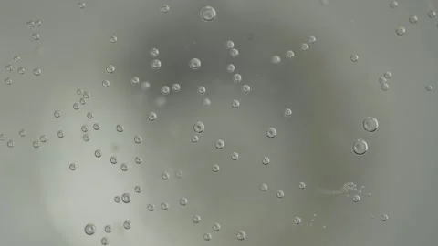 Champagne bubbles close up slow motion Video stock 306148091