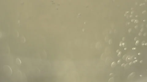 Champagne bubbles Video stock 34273036