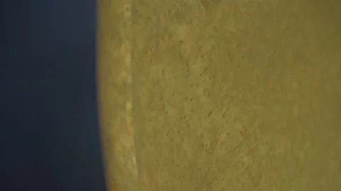 Champagne Bubbles Video stock 169920890