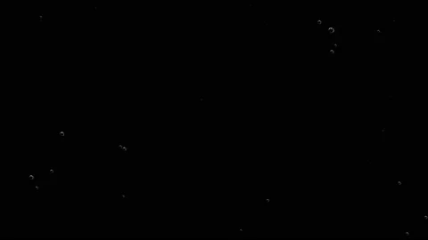 Champagne bubbles overcoming the density of the liquid stretch upwards. Stock Footage 104652697