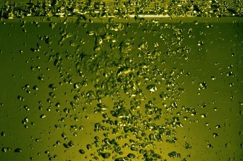 Champagne bubbles Stock Photos