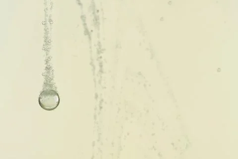 Champagne bubbles Stock Photos