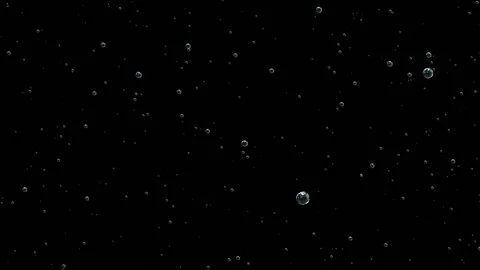 Champagne bubbles rise upwards. Video stock 100336325