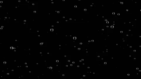 Champagne bubbles rising. Video stock 101356583