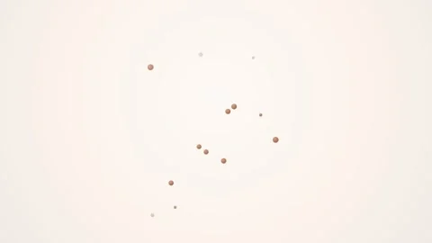 Champagne Bubbles Wedding Background – Terracotta 스톡 동영상 342617893