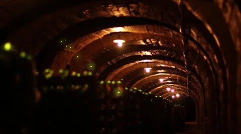 Champagne Cellar 3 Video stock 24801718