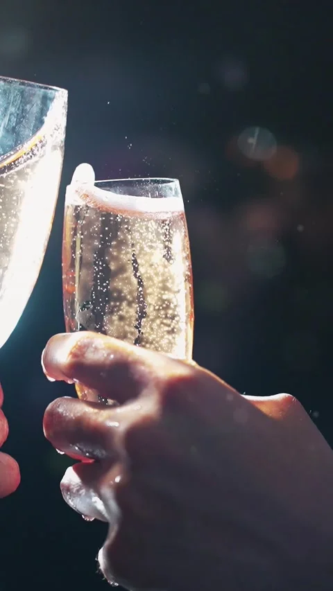 Champagne cheers Video stock 227015439