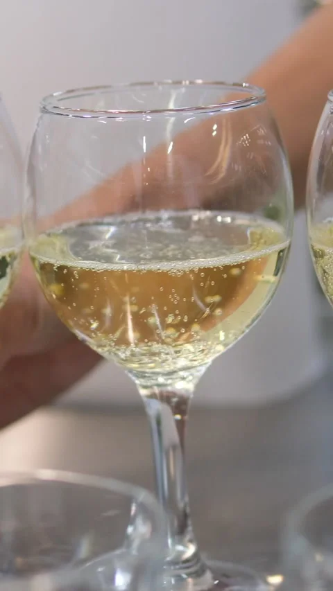 Champagne at a cooking master class. Cooking master class with female party Stock-Footage 279898928