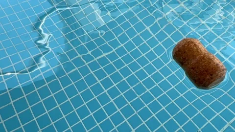 A champagne cork bobs playfully on tiny pool waves,  gentle ripple. 動画素材 313388971