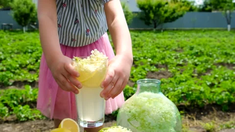 Champagne from elder flowers. Selective focus. Stock Footage 313348124